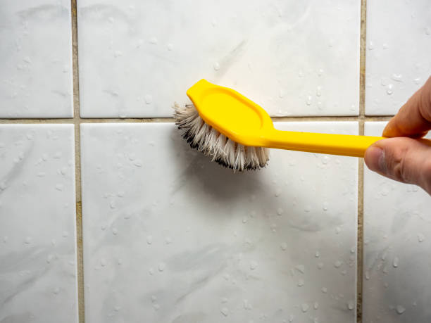 Best Preventive Mold Services in Great Falls, SC