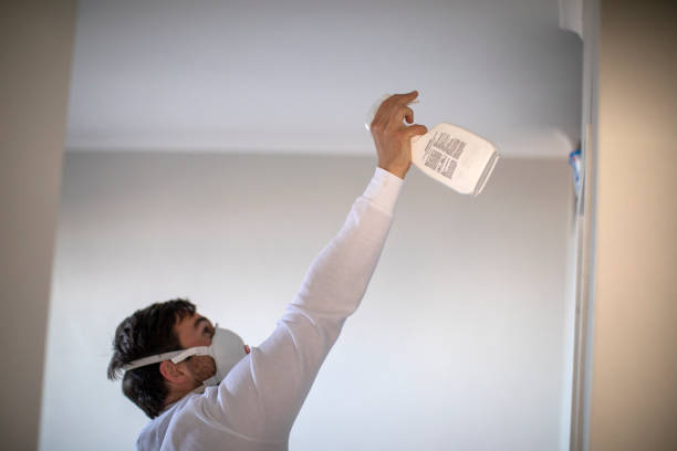Best Mold Remediation for Specific Building Types in Great Falls, SC