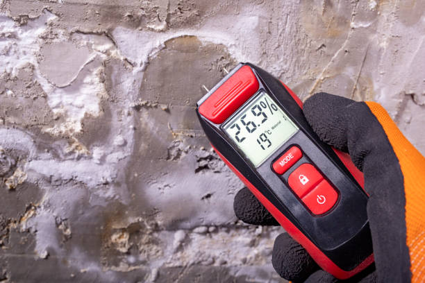 Best Post-Flood Mold Remediation in Great Falls, SC