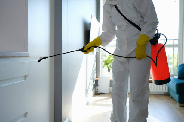 Best Industrial Mold Remediation in Great Falls, SC