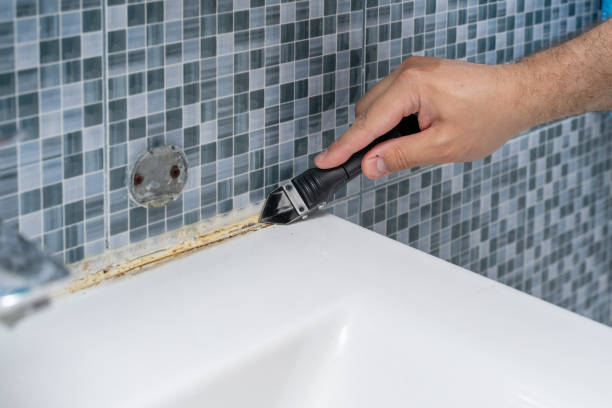 Best Black Mold Remediation in Great Falls, SC